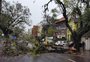 Devido a chuva em Porto Alegre, parte de árvore cai em rua do bairro Moinhos de Vento
