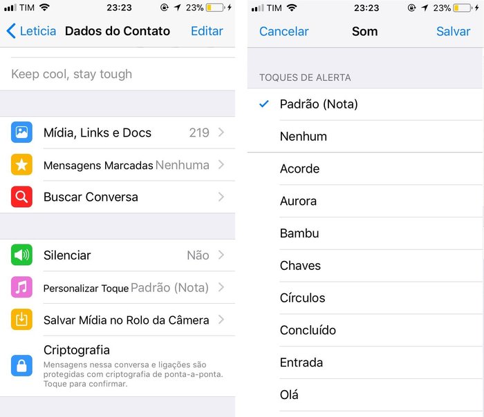 Reprodução / Reprodução