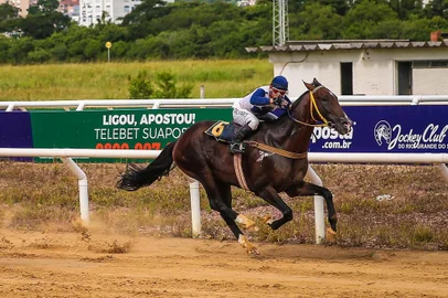 Jovem DAlessandro com a condução de E.Alvares vence o CLÁSSICO PRESIDENTE CLÁUDIO LUIZ SPERB com páreo de 1.600m para produtos de 3 anos e mais idade. FOTO: Jefferson Bernardes/ Agência Preview
