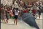  

ARRAIAL DO CABO, RJ, BRASIL - Mutirão ajuda baleia jubarte a retornar para o mar em Arraial do Cabo, no Rio. Foto é reprodução de live da Prefeitura de Arraial do Cabo