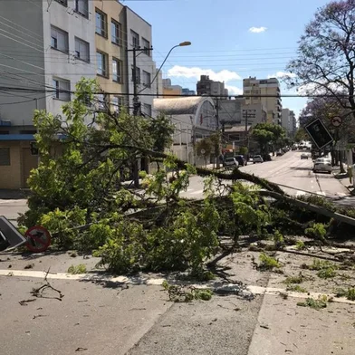 Caminhão arrasta árvore e fios no Centro de Caxias