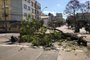 Caminhão arrasta árvore e fios no Centro de Caxias