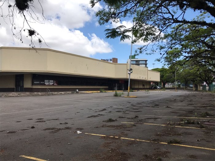 Divulgação Raupp Leilões