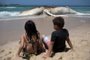  

A wave hits a 12 meters whale that was found dead is at Ipanema beach in Rio de Janeiro, Brazil, on November 15, 2017.  / AFP PHOTO / Leo Correa

Editoria: ENV
Local: Rio de Janeiro
Indexador: LEO CORREA
Secao: nature
Fonte: AFP
Fotógrafo: STR