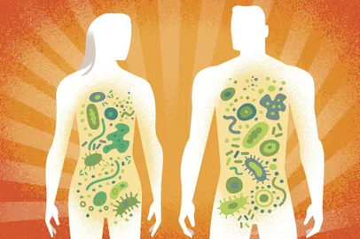 MICROBIOME-BRODY-ART-LSPR-111417

The human microbiome represents what is perhaps the most promising yet challenging task of modern medicine: Determining the normal microscopic inhabitants of every organ and knowing how to restore the proper balance of organisms when it is disrupted. (Paul Rogers/The New York Times) -- NO SALES; FOR EDITORIAL USE ONLY WITH STORY SLUGGED MICROBIOME BRODY LSPR  BY BRODY. ALL OTHER USE PROHIBITED. -- 

Editoria: A
Local: UNDATED
Indexador: PAUL ROGERS
Fonte: NYTNS
Fotógrafo: STR