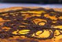 Aprenda a fazer a tradicional torta de ricota de Tapejara