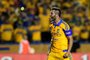 Mexicos Tigres Andre Gignac celebrates the victory against Internacional of Brazil during their Libertadores Cup semi-final second leg football match at the Universitario Stadium in Monterrey, Nuevo Leon State, Mexico on July 22, 2015. AFP PHOTO/RONALDO SCHEMIDT