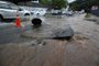  

PORTO ALEGRE, RS, BRASIL, 07-12-2017. manhã em Porto Alegre com chuva forte, trânsito lento e desabamentos
Muitas vias foram interrompidas e enchentes atingiram diversas casas. (FERNANDO GOMES/AGÊNCIA RBS)