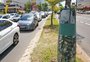 Montanha de lixo se acumula em torno de árvore na Avenida Nilo Peçanha