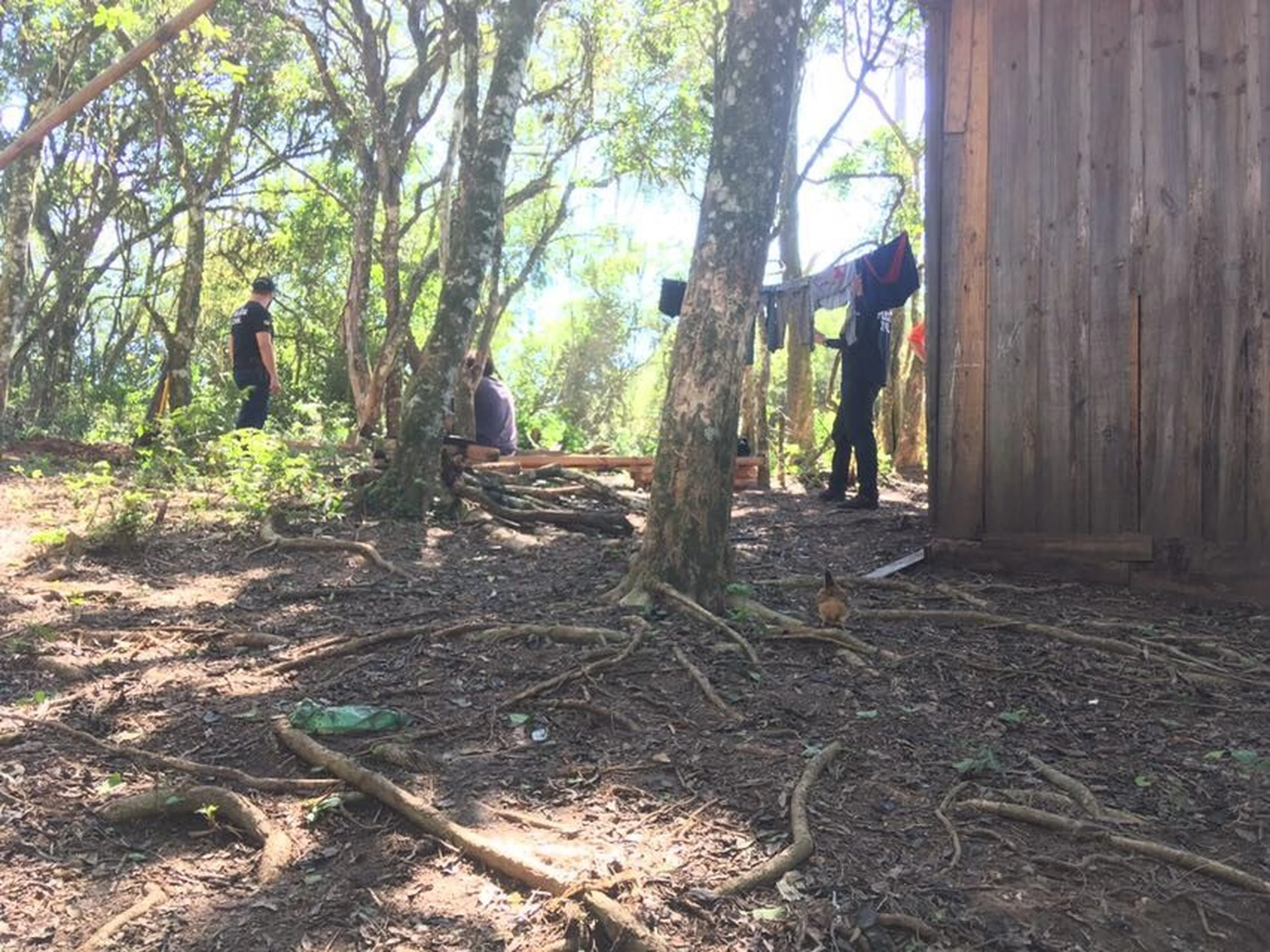 Polícia Civil/Divulgação 