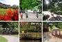 QUIZ: qual parque de Porto Alegre é a sua cara?