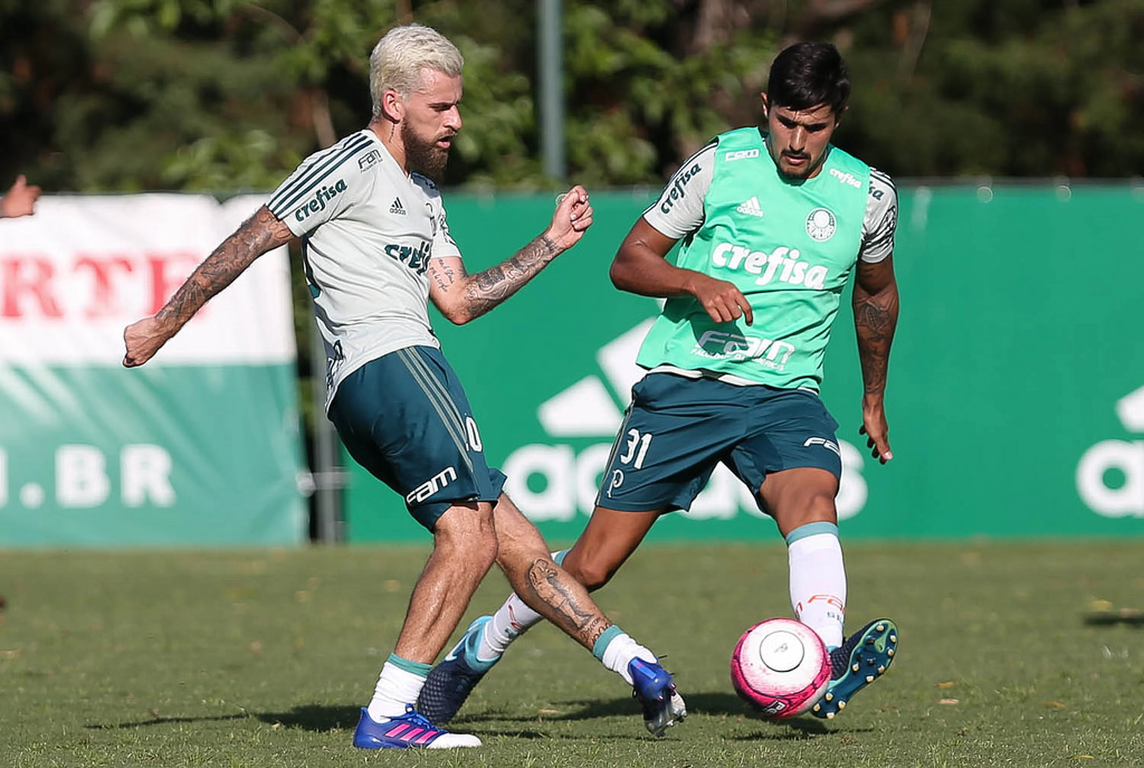 Cesar Greco/Palmeiras