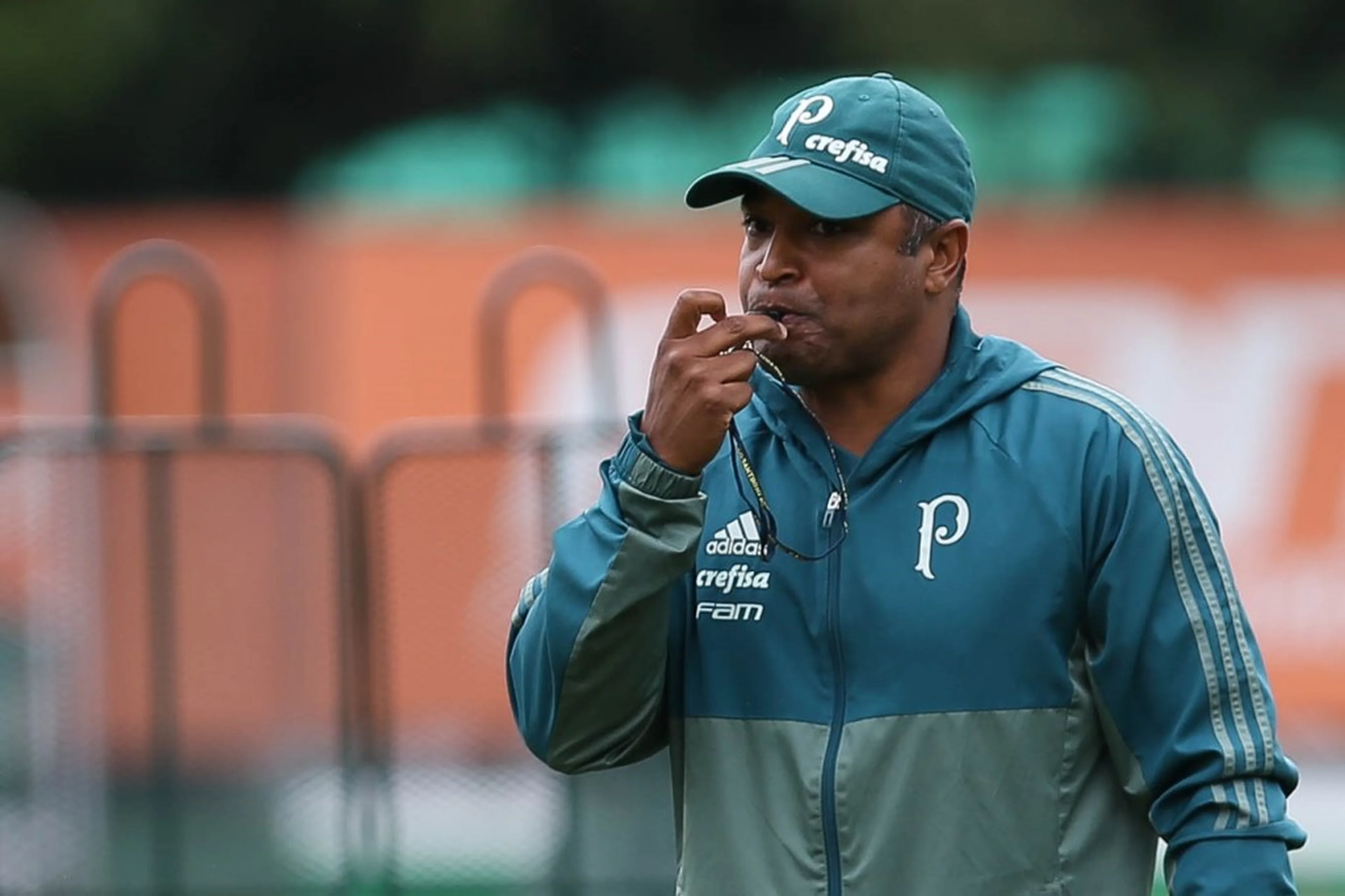 Cesar Greco/Palmeiras