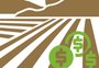 Tire suas dúvidas sobre o Funrural