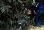 Caso de irmãos encontrados esquartejados no Vale do Sinos voltou à estaca zero, diz polícia