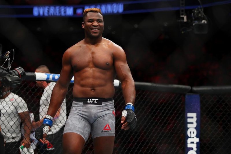 7DETROIT, MI - DECEMBER 02: Francis Ngannou of France celebrates his victory over Alistair Overeem of the Netherlands during UFC 218 at Little Ceasars Arena on December 2, 2018 in Detroit, Michigan.   Gregory Shamus/Getty Images/AFP