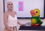 "É burrice matar macacos por causa da febre amarela", afirma Ana Maria Braga na TV