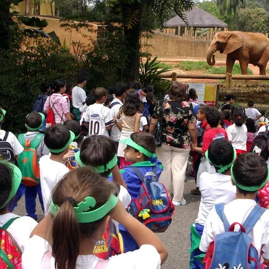  Imagens do zoológico de São Paulo, são de divulgação.Crédito: Carlos Nader / Zoo SP