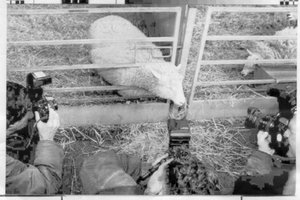 Ver Descrição / Ver Descrição