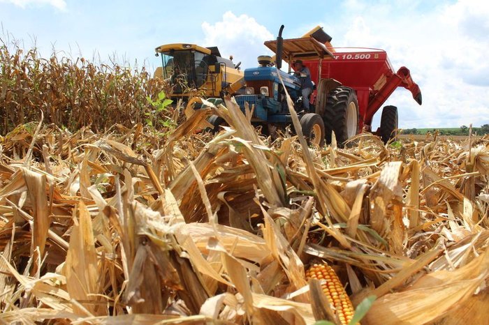 Pedro Brikalski / Especial