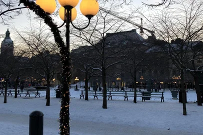 Jardim do Rei (Kungsträdgården), em Estocolmo, na Suécia. Antigamente restrito à realeza, posteriormente foi aberto ao público
