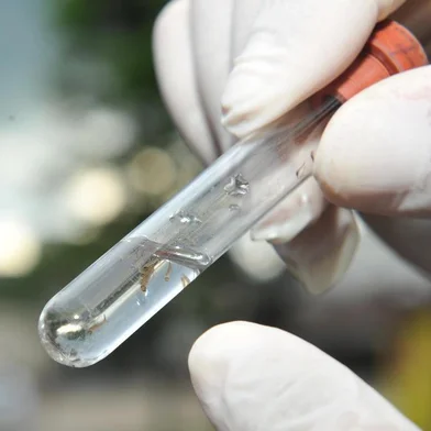  JOINVILLE,SC,BRASIL,18-01-2017.Mutirão contra a Dengue,bairro Boa Vista é o primeiro a recebervisita dos agentes de saúde.(Foto:Salmo Duarte/Agência RBS,Geral)