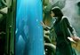 Cinema em Porto Alegre: "A Forma da Água", de Guillermo Del Toro, e outras estreias da semana