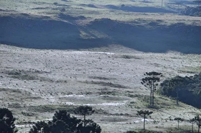 geada, serra, são joaquim, são joaquim online, geada no verão
