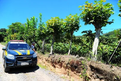  MONTE BELO DO SUL, RS, BRASIL, 08/02/2018.Brigada Militar e PRF seguem as buscas em Monte Belo do Sul, aos assaltantes que atacaram carro-forte na manhã de terça-feira (06/02). (Porthus Junior/Agência RBS)