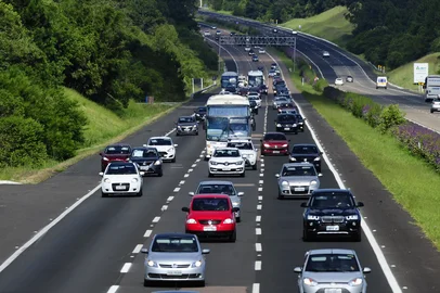 freeway; carnaval