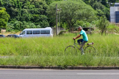  PORTO ALEGRE, RS, BRASIL, 07/02/2018 : Capina em janeiro foi menos da metade do previsto em Porto Alegre. Serviço deve ser regularizado até fim de março, diz secretário de Serviços Urbanos. (Omar Freitas/Agência RBS)Indexador: Omar Freitas