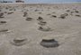 Formas na areia intrigam moradores de Capão Novo 