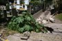  PORTOALEGRE-RS-BR 16.02.2018 buracos em calçada na rua  Anita Garibaldi.FOTÓGRAFO: TADEU VILANI AGÊNCIA RBS