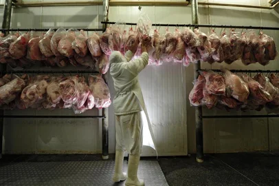  Os irmãos Dias no período 1985 a 1990 encontravam-se trabalhando individualmente, no ramo de matadouro e embutidos de carne suína, de maneira informal e em suas próprias instalações, foi quando no ano de 1990, João Deloci Dias juntamente com Enedir Dias da Silveira firmaram parceria iniciando suas atividades como fábrica de produtos suínos, dando início à empresa familiar Fábrica de Embutidos Borrússia Ltda, a qual obteve a sua primeira licença de funcionamento em 1991. Na foto, linha de produção.Indexador: Diego Vara                      