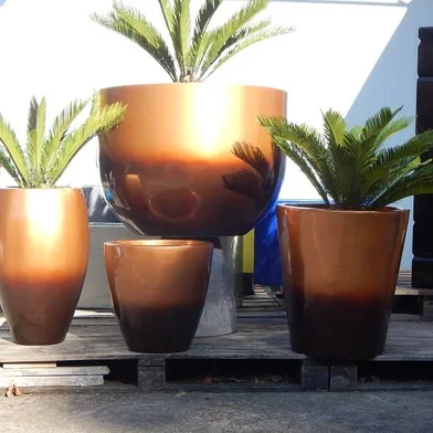 vasos