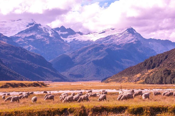 Carlito Bicca / Divulgação