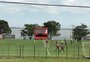 Damião e Pottker não treinam com bola e estão fora do Gre-Nal da Arena