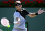 Del Potro não vai disputar Australian Open