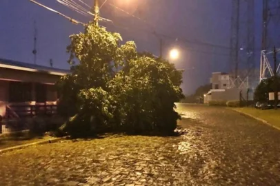 Vendaval causa estragos em Carlos Barbosa.