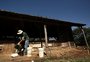 Glauco Schultz: sucessão na agricultura familiar é desafio para o agronegócio