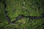 amazonia, reserva amazônia, wwf-brasil. renca, Estação Ecológica do Jari