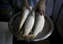 Pesquisa da WWF indica tipos de peixes que não deveriam ser consumidos pelos brasileiros