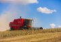 Colheita de soja ganha força no RS