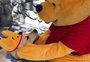 Cães-guias ganham visita especial à Disney e fotos bombam nas redes sociais