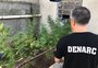 Mulher é presa por ter plantação de maconha na zona sul de Porto Alegre