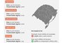 INFOGRÁFICO: confira as diferenças no rendimento da soja em 60 municípios do RS 