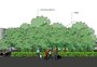 Microfloresta com 300 árvores no lugar de estacionamento em Porto Alegre fica para 2019