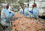 Embargo à Rússia obrigaria avicultores gaúchos a buscar novos mercados