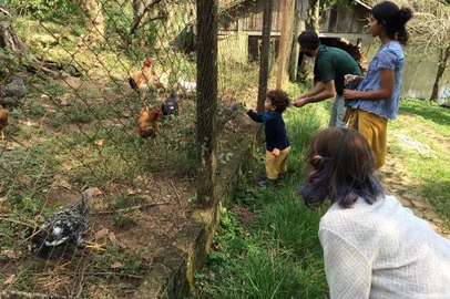 Bela Gil visita a Via Orgânica de Garibaldi, da qual é madrinha. Encontro ocorreu no domingo