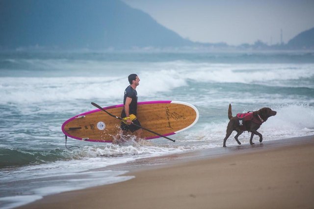  FLORIANÓPOLIS, SC, BRASIL, 05-05-2018 - Bono , O Cão Surfista pegando onda com seu dono, Ivan, na praia do Morros das Pedras na tarde deste sábado, em Florianópolis.